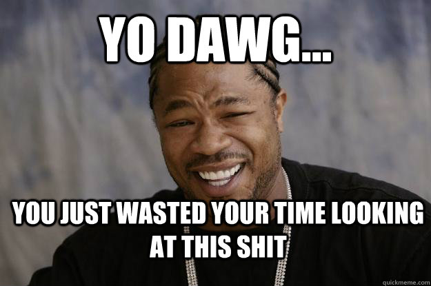 Yo dawg... you just wasted your time looking at this shit  Xzibit meme 2