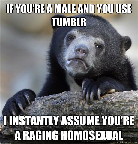 If you're a male and you use tumblr I instantly assume you're a raging homosexual  Confession Bear