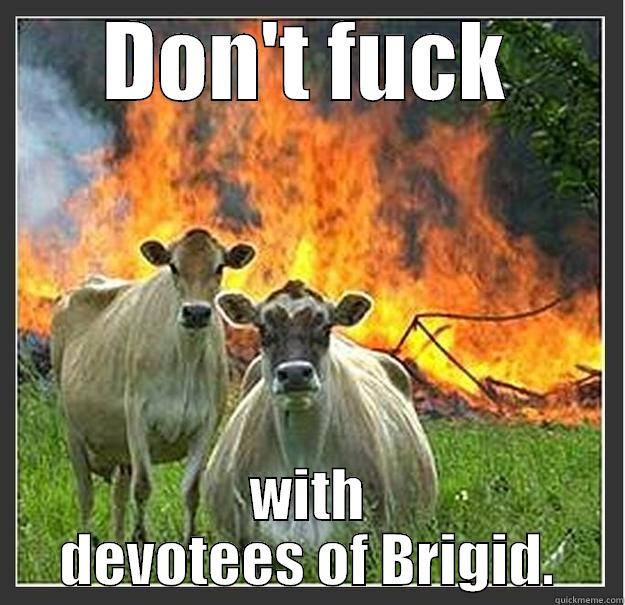 DON'T FUCK WITH DEVOTEES OF BRIGID. Evil cows