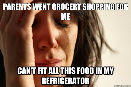 Parents went grocery shopping for me can't fit all this food in my refrigerator  First World Problems