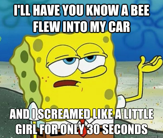 I'll have you know a bee flew into my car And I screamed like a little girl for only 30 seconds  Tough Spongebob