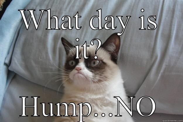WHAT DAY IS IT? HUMP...NO Grumpy Cat