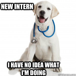 New INtern I have no idea what i'm doing - New INtern I have no idea what i'm doing  Doctor Dog meme