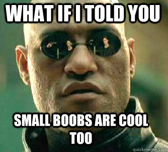 what if i told you Small boobs are cool too  Matrix Morpheus