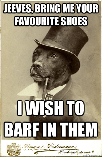 Jeeves, bring me your favourite shoes I wish to barf in them - Jeeves, bring me your favourite shoes I wish to barf in them  Old Money Dog