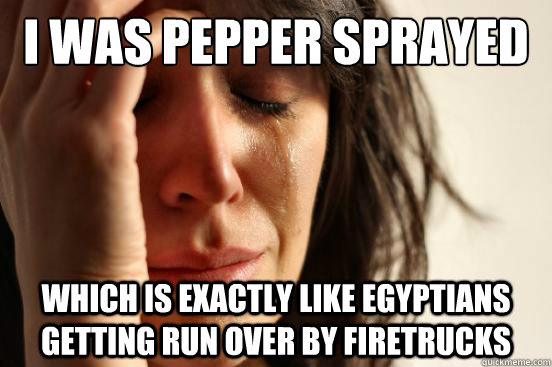 I was pepper sprayed Which is exactly like Egyptians getting run over by firetrucks  First World Problems