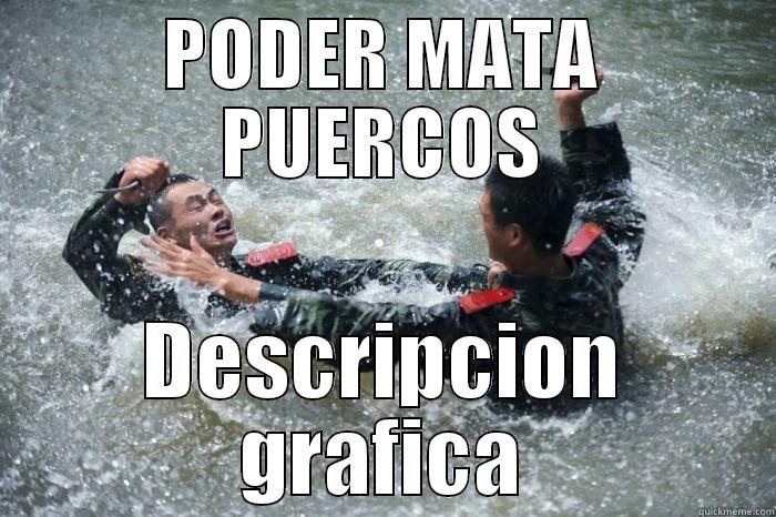 PODER MATA PUERCOS DESCRIPCION GRAFICA Misc