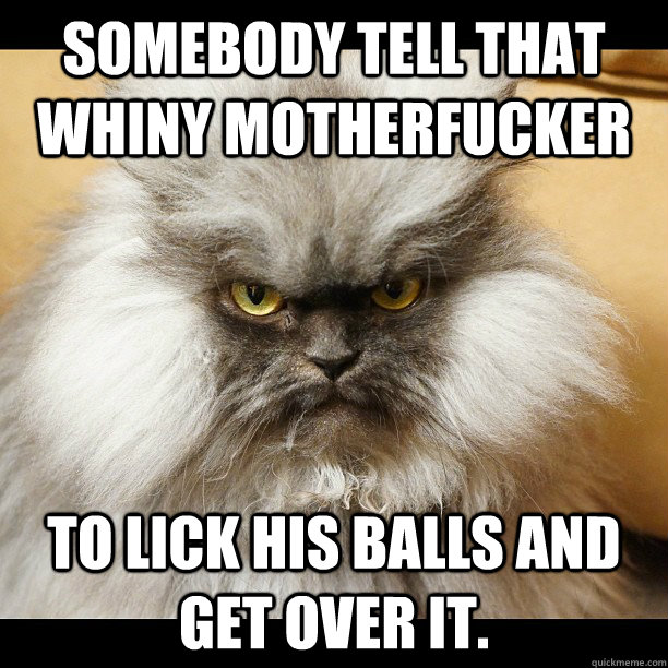 Somebody tell that whiny motherfucker To lick his balls and get over it. - Somebody tell that whiny motherfucker To lick his balls and get over it.  Colonel Meow Tells It