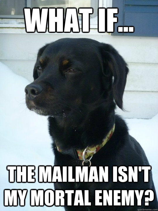 What if... The mailman isn't my mortal enemy? - What if... The mailman isn't my mortal enemy?  Philosophical Puppy