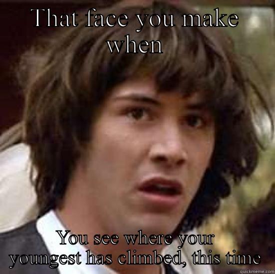 Toddlers climbing, again - THAT FACE YOU MAKE WHEN YOU SEE WHERE YOUR YOUNGEST HAS CLIMBED, THIS TIME conspiracy keanu