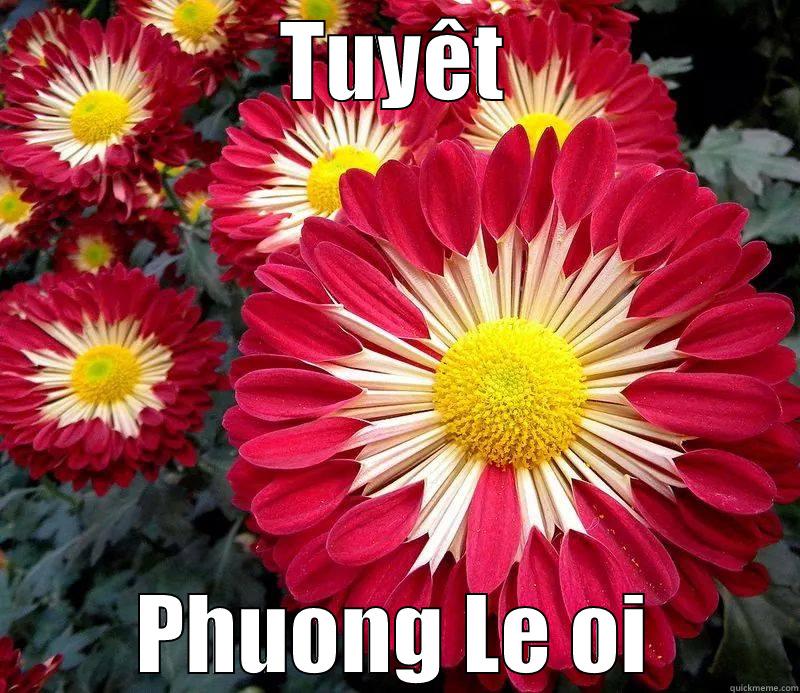 TUYÊT PHUONG LE OI Misc