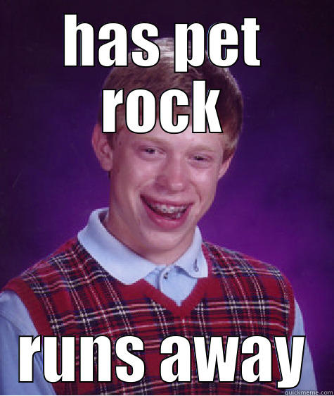 HAS PET ROCK RUNS AWAY Bad Luck Brian
