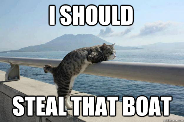 i should steal that boat - i should steal that boat  daydreamer cat