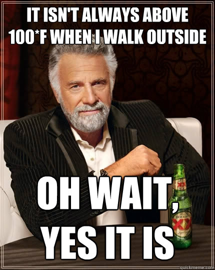 it isn't always above 100*F when i walk outside oh wait, yes it is  The Most Interesting Man In The World
