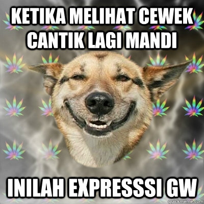 KETIKA MELIHAT CEWEK CANTIK LAGI MANDI INILAH EXPRESSSI GW  Stoner Dog