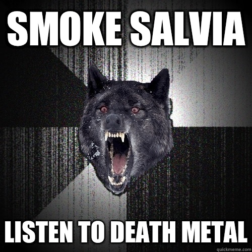 Smoke salvia Listen to death metal  Insanity Wolf