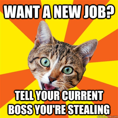 want a new job? tell your current boss you're stealing  Bad Advice Cat