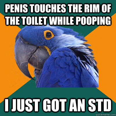 Penis touches the rim of the toilet while pooping I just got an STD  Paranoid Parrot
