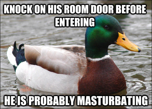 Knock on his room door before entering he is probably masturbating   - Knock on his room door before entering he is probably masturbating    Actual Advice Mallard