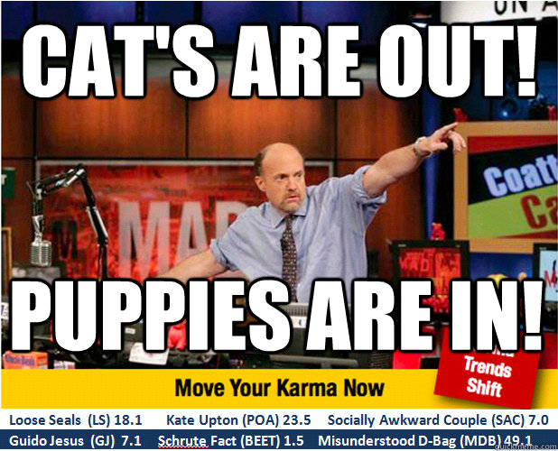 Cat's are out! Puppies are in! - Cat's are out! Puppies are in!  Jim Kramer with updated ticker