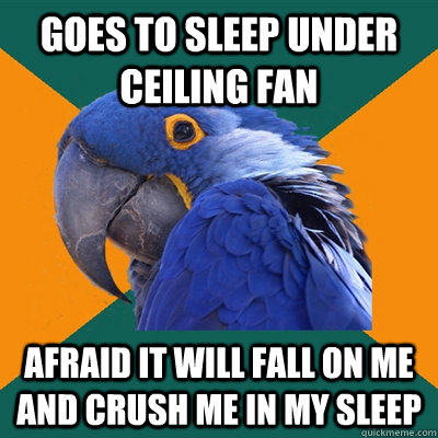 Goes to sleep under ceiling fan Afraid it will fall on me and crush me in my sleep  Paranoid Parrot