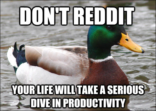 Don't reddit your life will take a serious dive in productivity  Actual Advice Mallard