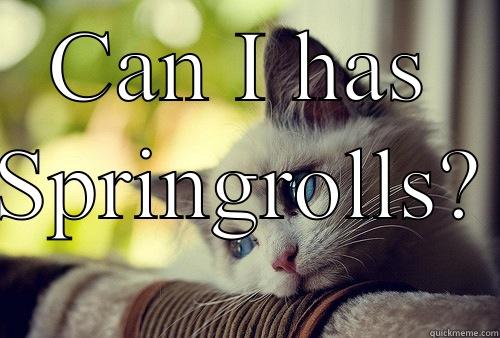 CAN I HAS SPRINGROLLS? First World Problems Cat