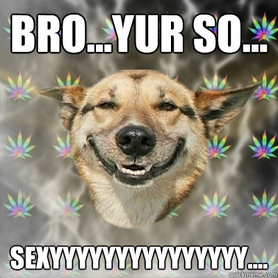 bro...yur so... sexyyyyyyyyyyyyyyy....  Stoner Dog
