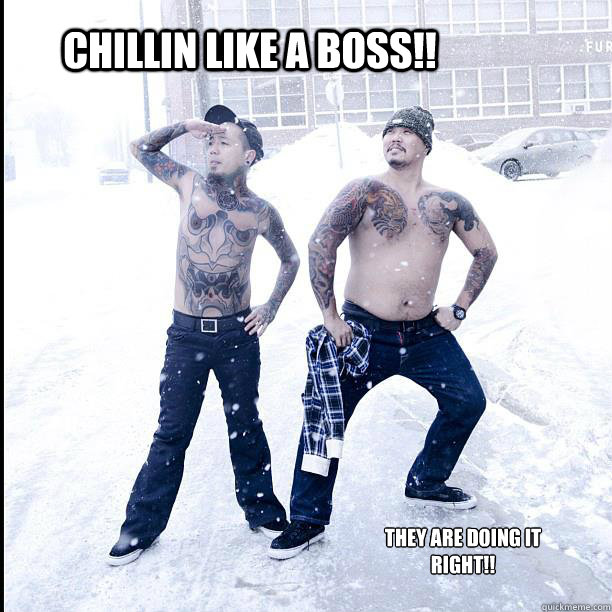 chillin like a boss!!  they are doing it right!!
 - chillin like a boss!!  they are doing it right!!
  Misc