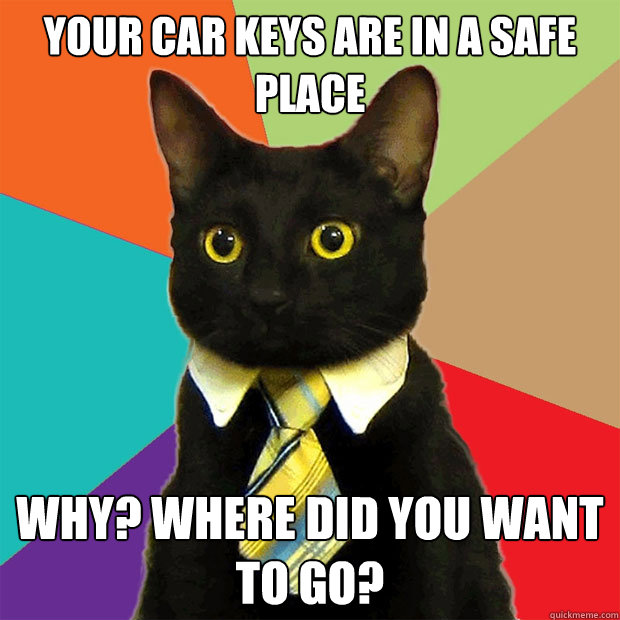 your car keys are in a safe place why? where did you want to go?  Business Cat