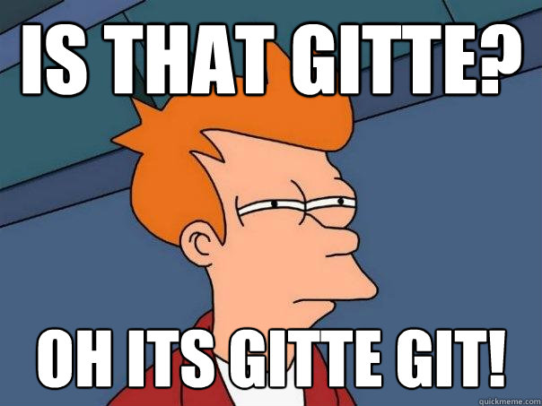 Is that gitte? OH ITS GITTE GIT!  Futurama Fry