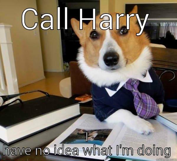 CALL HARRY I HAVE NO IDEA WHAT I'M DOING Lawyer Dog