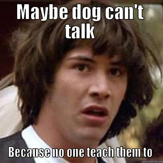 MAYBE DOG CAN'T TALK BECAUSE NO ONE TEACH THEM TO conspiracy keanu