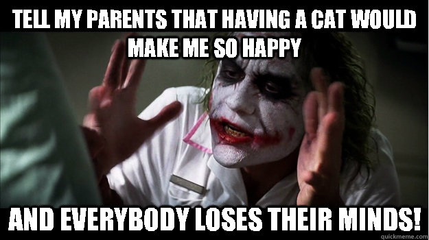 Tell my parents that having a cat would make me so happy and EVERYBODY LOSES THeir minds!  Joker Mind Loss
