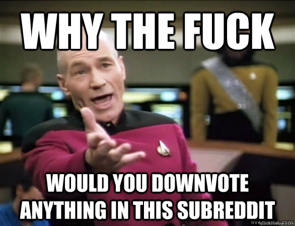 why the fuck would you downvote anything in this subreddit - why the fuck would you downvote anything in this subreddit  Annoyed Picard HD