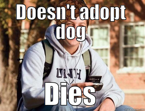 DOESN'T ADOPT DOG DIES College Freshman