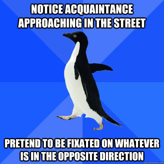 notice Acquaintance approaching in the street pretend to be fixated on whatever is in the opposite direction  Socially Awkward Penguin