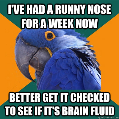 I've had a runny nose for a week now Better get it checked to see if it's brain fluid - I've had a runny nose for a week now Better get it checked to see if it's brain fluid  Paranoid Parrot