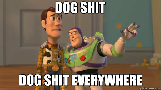 DOG SHIT DOG SHIT EVERYWHERE  Everywhere