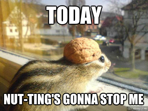 today Nut-ting's gonna stop me  Adventure Chipmunk