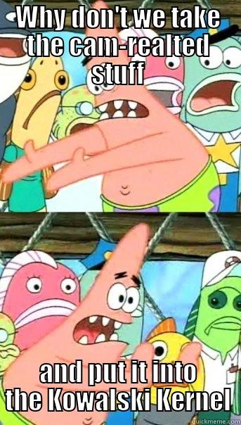 WHY DON'T WE TAKE THE CAM-REALTED STUFF AND PUT IT INTO THE KOWALSKI KERNEL Push it somewhere else Patrick
