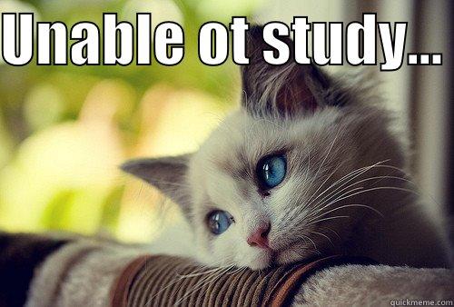 UNABLE OT STUDY...   First World Problems Cat