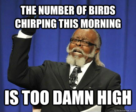 The number of birds chirping this morning is too damn high  Too Damn High