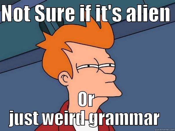 NOT SURE IF IT'S ALIEN  OR JUST WEIRD GRAMMAR  Futurama Fry