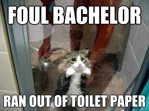 Foul Bachelor Ran out of toilet paper  Shower kitty
