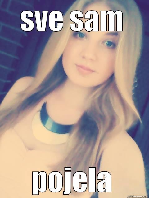 SVE SAM POJELA Misc