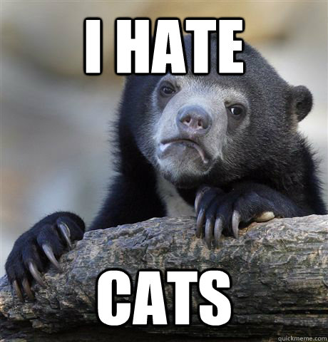 I hate cats  Confession Bear