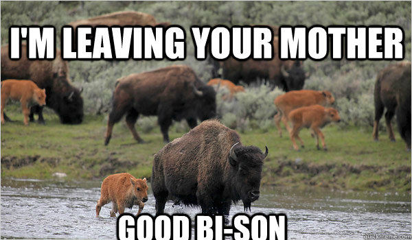 I'm leaving your mother good bi-son - I'm leaving your mother good bi-son  Misc