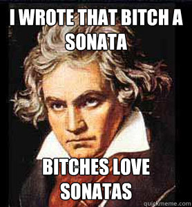 I wrote that bitch a  sonata bitches love sonatas  Beethoven sonata