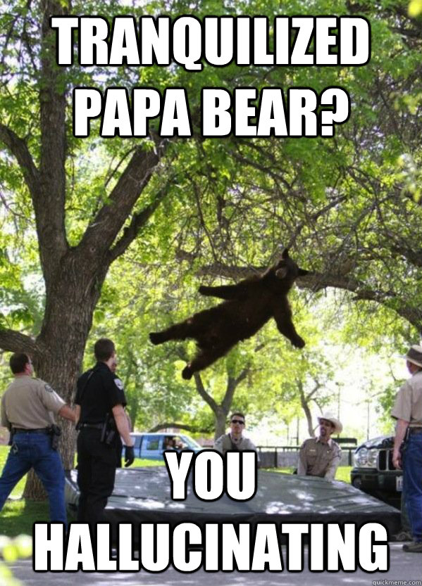 TRANQUILIZED PAPA BEAR? YOU HALLUCINATING - TRANQUILIZED PAPA BEAR? YOU HALLUCINATING  i am a falling bear